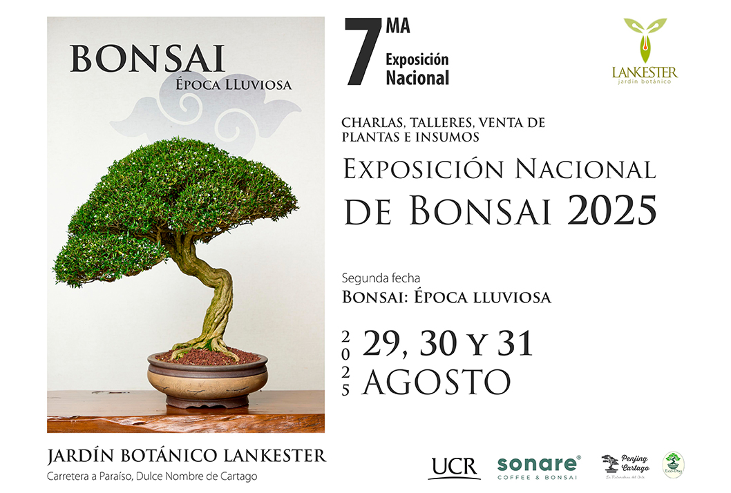 img-exposicion-nacional-de-bonsai-2025