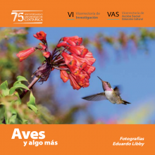 aves y algo mas