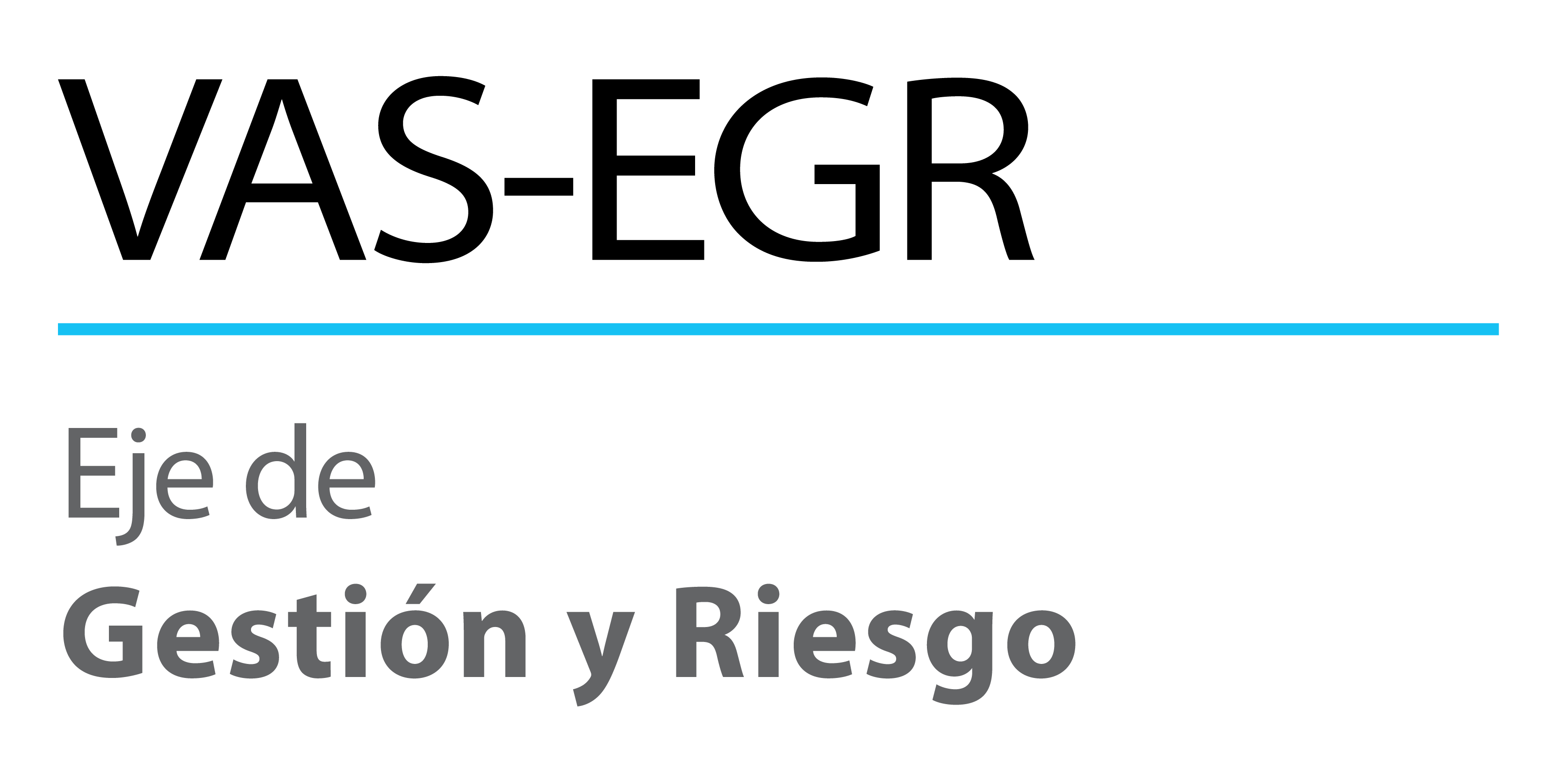 Acrónimo VAS-Eje Gestión de Riesgo vertical