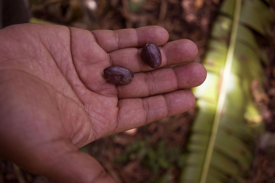 El TC-228 brinda capacitación administrativa a los pequeños productores agrícolas del país para que logren una inserción exitosa en el mercado nacional. Foto archivo VAS.