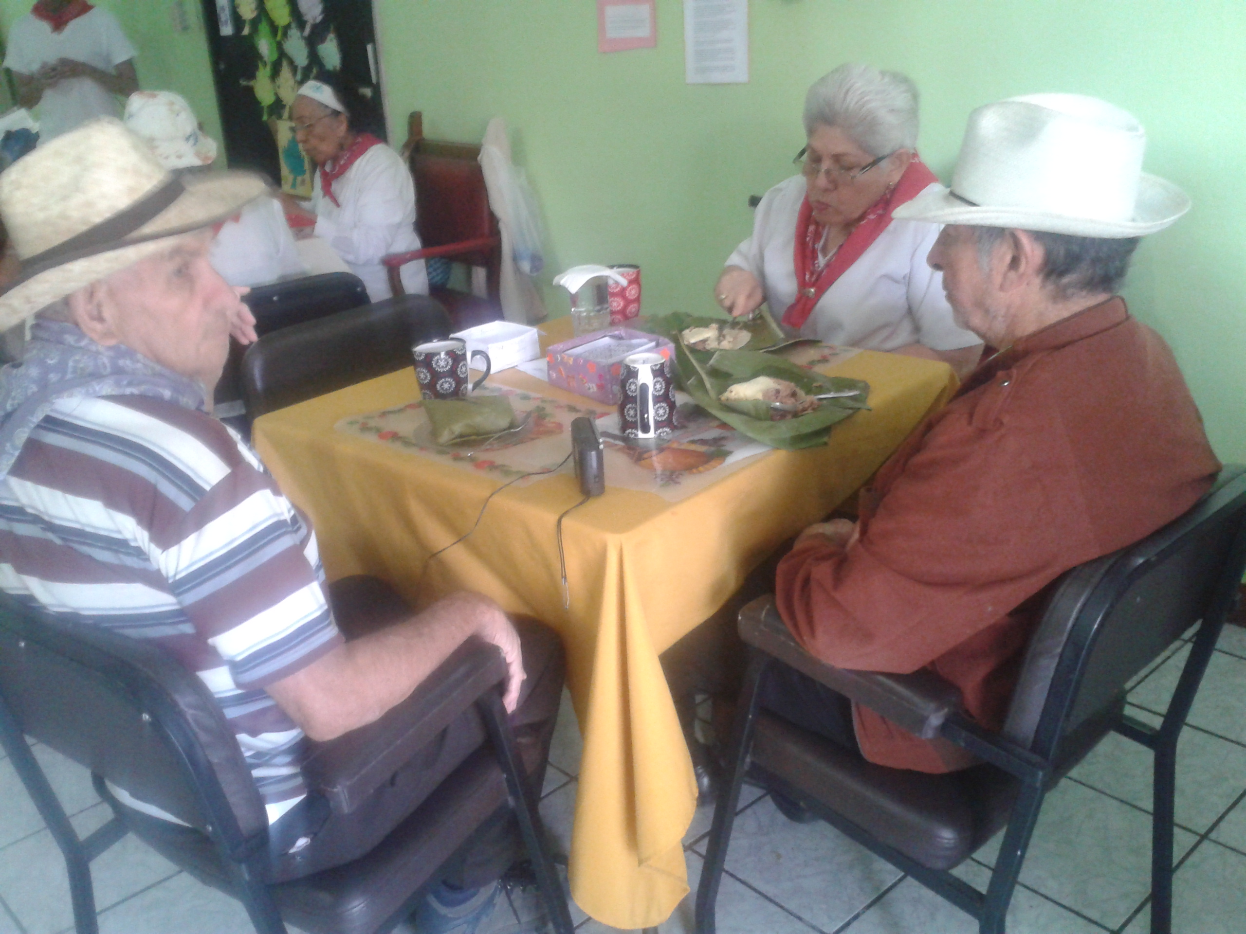 img-noticia-La celebración de la Anexión del Partido de Nicoya, en el centro diurno ASECA promovió la participación social, que es uno de los pilares del envejecimiento activo.  Foto: Mariela Hernández.