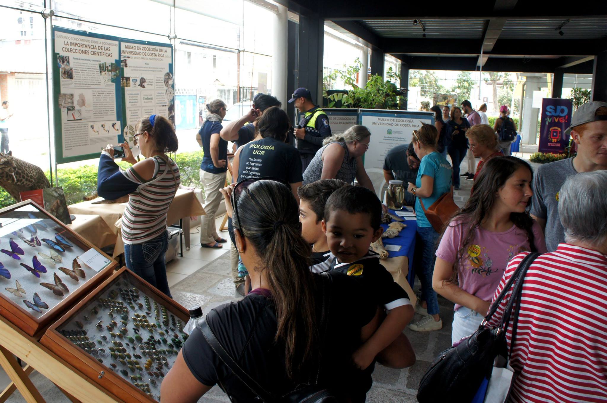 El Museo de Zoología alberga más de cinco millones de especímenes entre sus colecciones. Foto: Cristian Esquivel