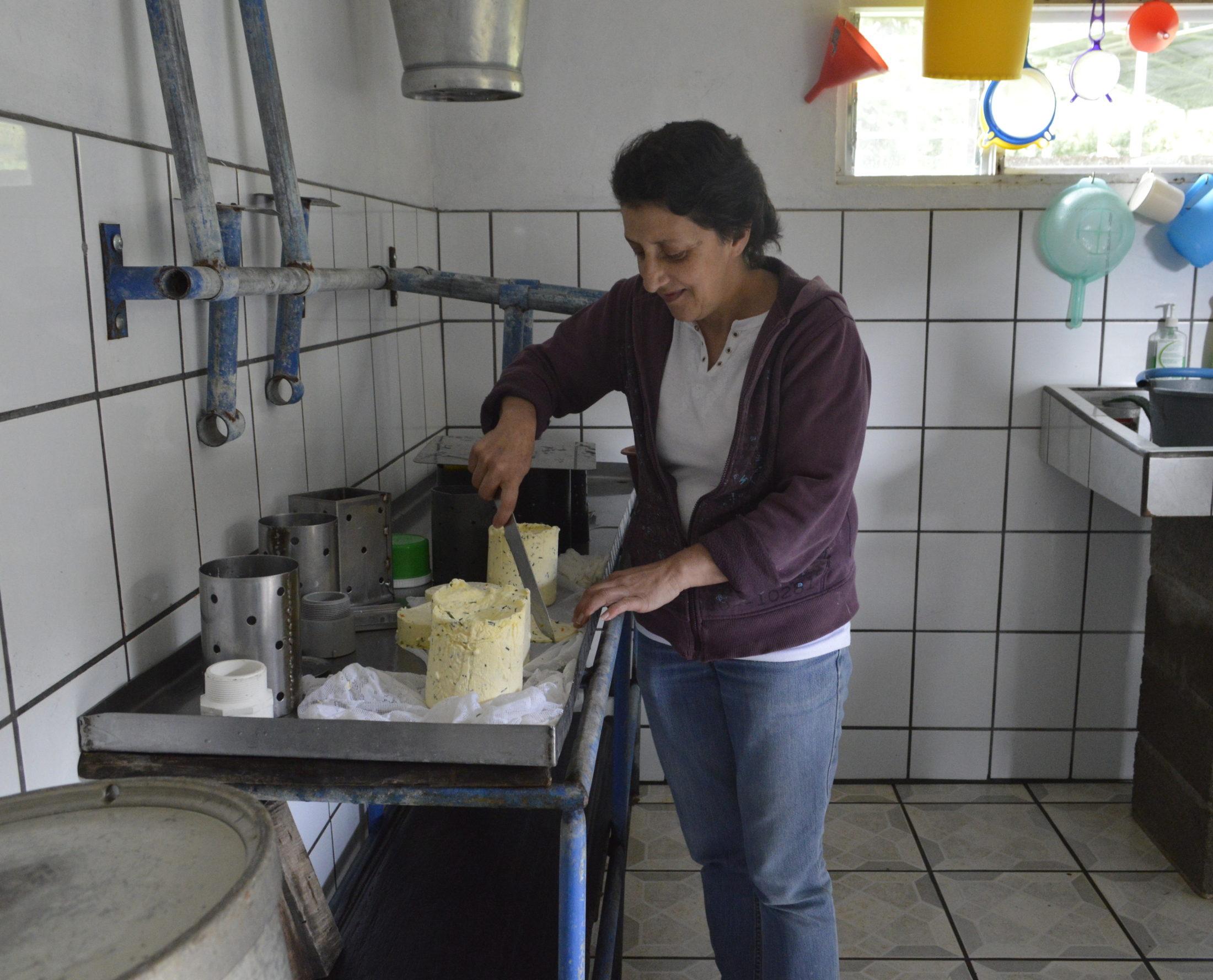 Productora de Queso en la Finca San Francisco de Asís en Copey de Dota. Foto Massiel Calderón Rojas.