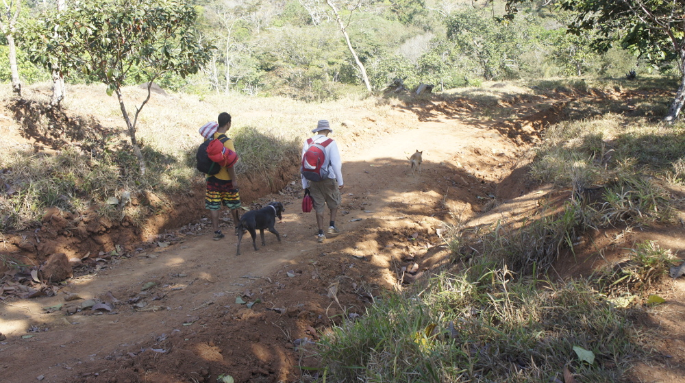 Jorge Mora y John Baltodano caminan a la recuperación desde la comunidad de Térraba hasta Finca San Andrés, por el trillo. Fotografía: Esteban Barquero Salazar.