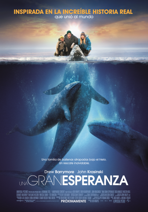 img-noticia-El derecho a la esperanza está basada en una historia real y cuenta cómo un periodista y una voluntaria de Greenpeace se proponen salvar a una familia de ballenas grises atrapadas por los hielos del Círculo Polar Ártico. 