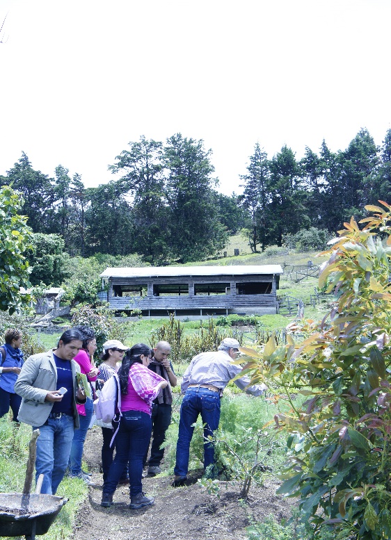 Foto ilustrativa sobre el Encuentro.  Cortesía de TC-607.