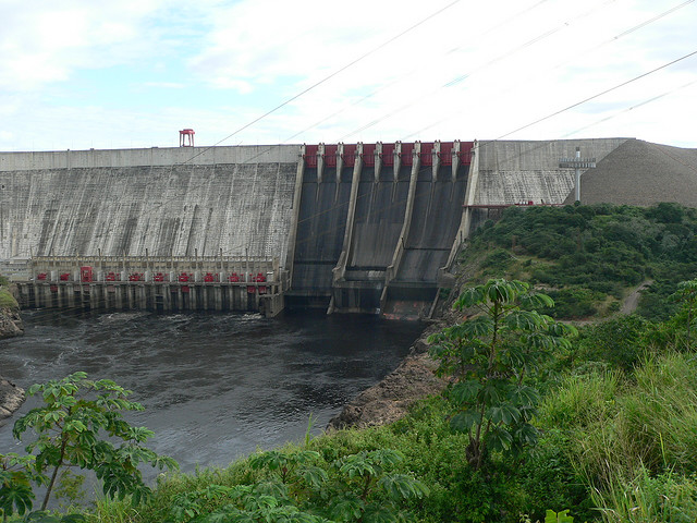 Fotografía por: coecoceiba.org, con fines ilustrativos. 