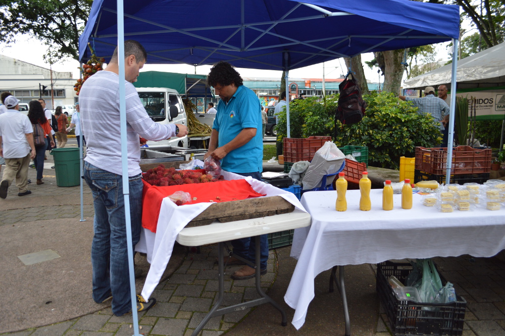 img-noticia-Productor agricola vendiendo en la Feria de Seguridad Alimentaria UCR. Foto: Massiel Calderón Rojas