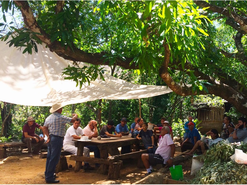 El programa Kioscos Socioambientales promueve que las mismas comunidades sean las encargadas de revitalizar sus saberes para el cuido de bienes comunes, metodología aplicada en el proyecto de Agroecología, que se ejecuta en Guacimal, Puntarenas. Foto cortesía Kioscos Socioambientales.