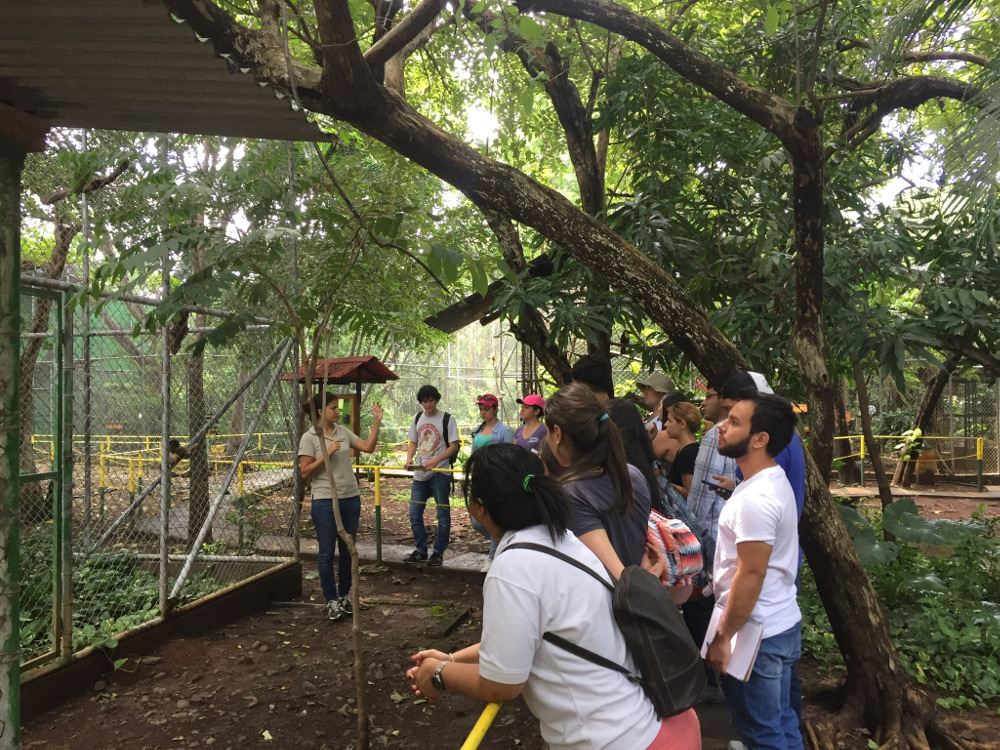 La bióloga Esther Pomareda explica a las y los estudiantes la historia de cada uno de los animales que actualmente están en el Centro de Rescate. Foto: Maripaz Castro Murillo.