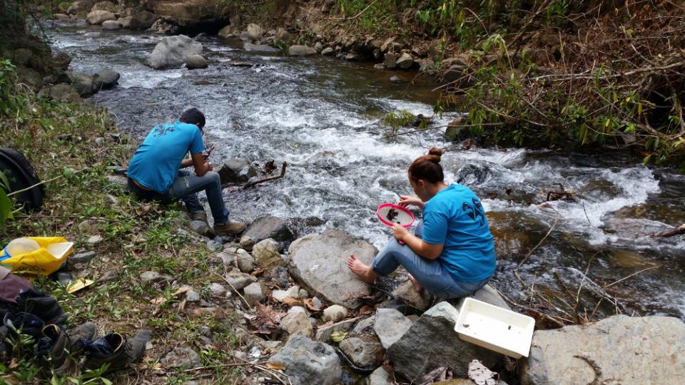 img-noticia-Estudiantes realizaron muestreos de macroinvertebrados para identificar la calidad del agua en distintos puntos de la subcuenca. Foto tomada por Marlon Morúa.