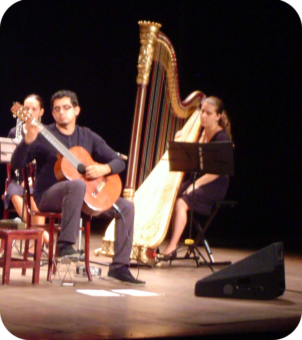 img-noticia-El guitarrista Nicolás Alvarado es el solista del espectáculo. Se egresó de la Escuela de Artes Musicales en el 2010.