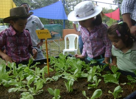 Expertos en el tema imparten capacitaciones en sistemas de producción sostenible de cultivos forrajeros, de carne y leche