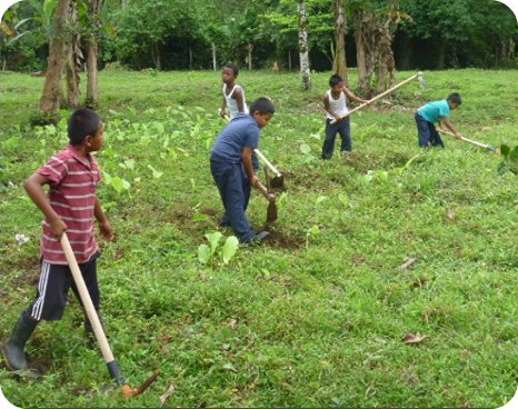 Estudiantes de 4º grado empuñaron las herramientas para salir al campo e iniciar con la elaboración de la huerta