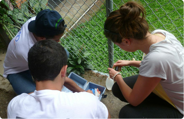 Estudiantes de Ingeniería Civil realizan pruebas de calidad del agua como parte del plan de mitigación del riesgo en los acueductos.