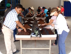 En los talleres se enseña a las y los participantes la forma de montar sus propios sistemas de hidroponía. Foto: Fernando Richmond