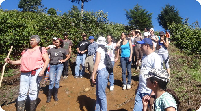 Vecinos y vecinas de El Jardín se han participado de forma activa en las reuniones y actividades del proyecto, generando ideas a futuro. Fotos: Miguel Gamboa Gamboa y Andrey Gamboa Brenes.