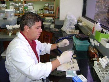 El Laboratorio de Micología Médica se ubica en el Laboratorio 210 de la Facultad de Microbiología. Foto: Cortesía del Laboratorio