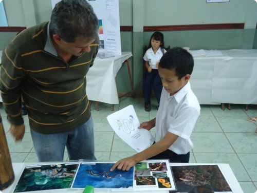 Exposición del TCU con serpientes conservadas