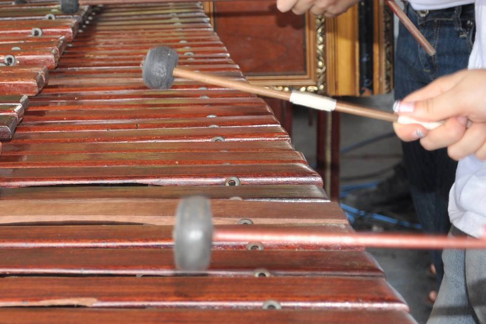 El taller Internacional de Marimba se imparte en el recinto de Santa Cruz de la Sede de Guanacaste del 12 al 22 de julio, de 8:00 a.m. a 5:00 p.m. y es gratuito. Fotografía archivo VAS.