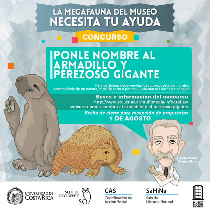 img-noticia-Puede ver las bases del concurso http://www.so.ucr.ac.cr/…/concurso-ponle-nombre-al-armadill…