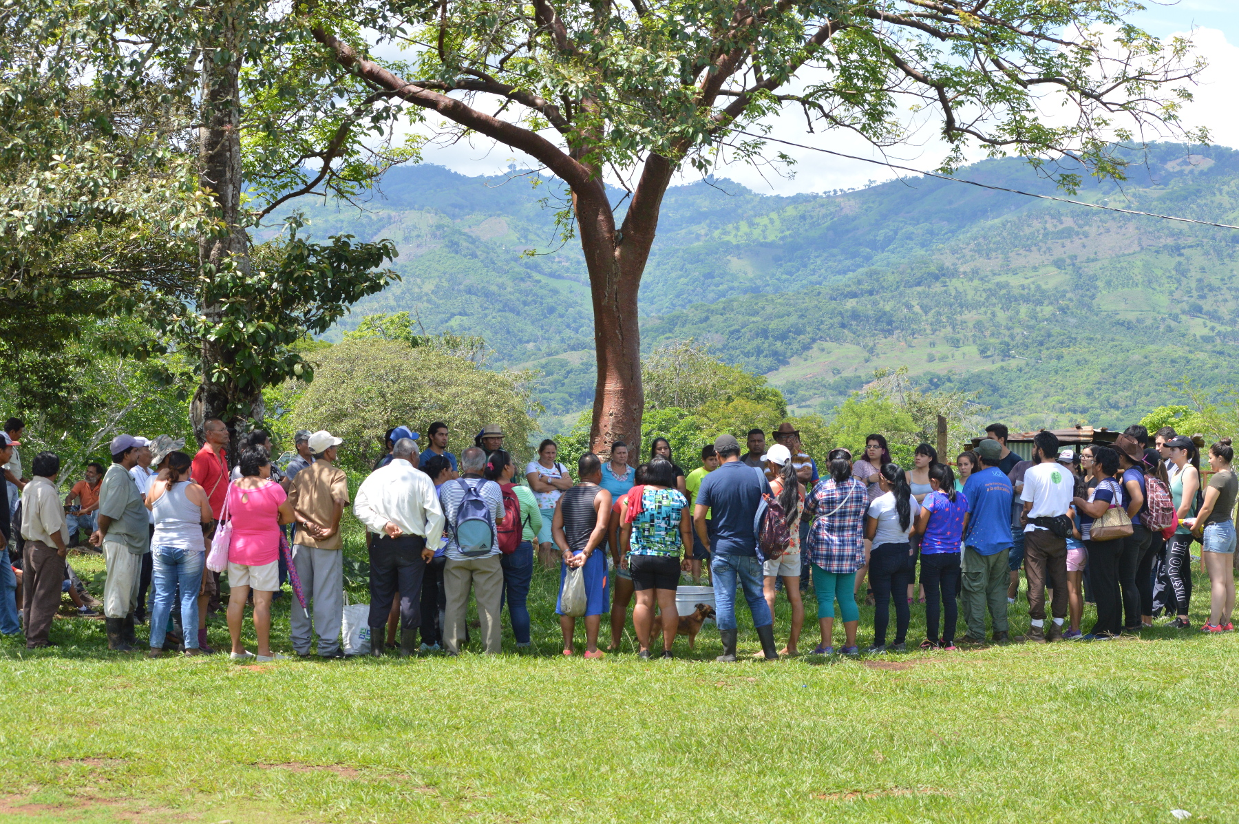 Participantes de la Escuela Comunitaria del Sur en conversatorio y homenaje a Sergio Rojas. 