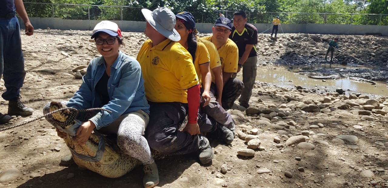 img-noticia-Mediante sus proyectos de Acción Social el Instituto Clodomiro Picado capacita a cuerpos de socorro y pobladores de costas en el manejo adecuado de emergencias provocadas ante los encuentros entre personas y cocodrilos y serpientes. Foto cortesía ICP-UCR.