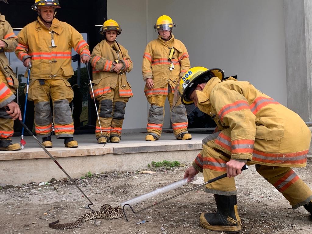 img-noticia-Los cuerpos de socorro reciben capacitación para el manejo adecuado de serpientes y la atención de emergencias médicas por mordeduras.  Foto cortesía ICPLos cuerpos de socorro reciben capacitación para el manejo adecuado de serpientes y la atención de emergencias médicas por mordeduras.  Foto cortesía ICP