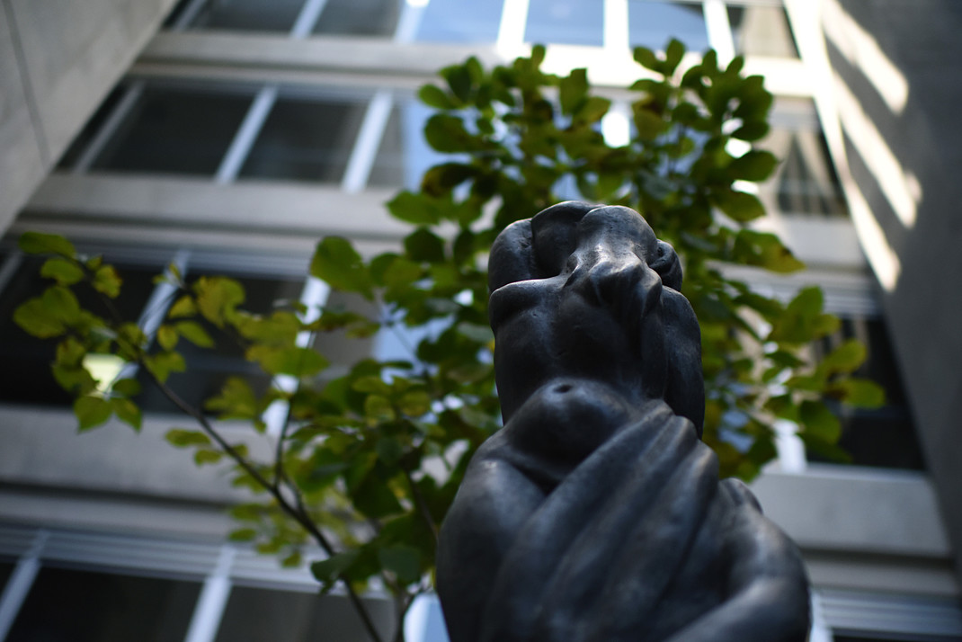 El proyecto EC-341 ha catalogado obras de arte público de todas las sedes y recintos y el Jardín Botánico Lankester de la UCR. Fotografía de Laura Rodríguez Rodríguez.