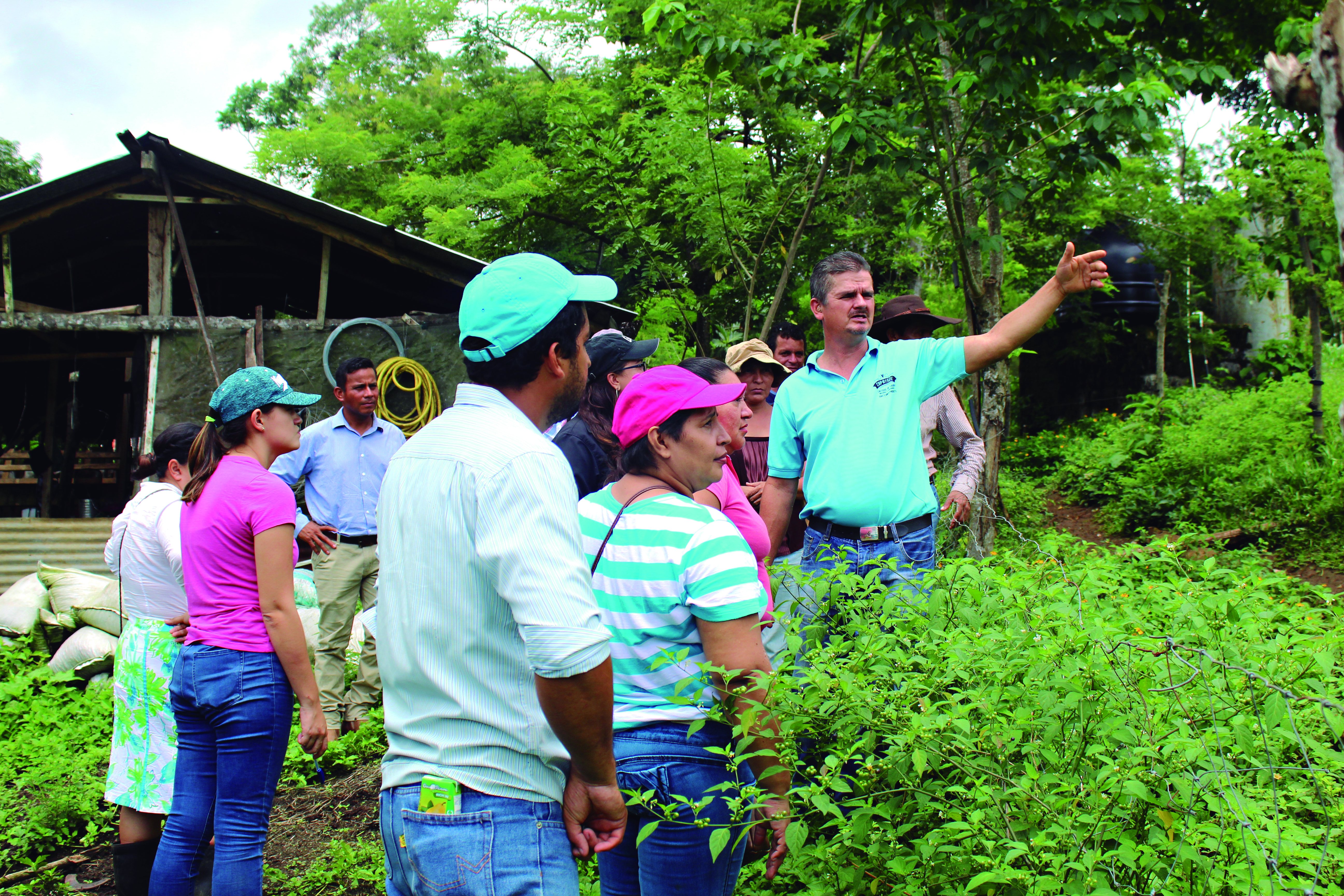 La UCR continuará apoyando los proyectos de Acción Social mediante la entrega de tarjetas de prepago a personas responsables de los proyectos en ejecución durante el segundo semestre del año 2021. Foto Archivo VAS