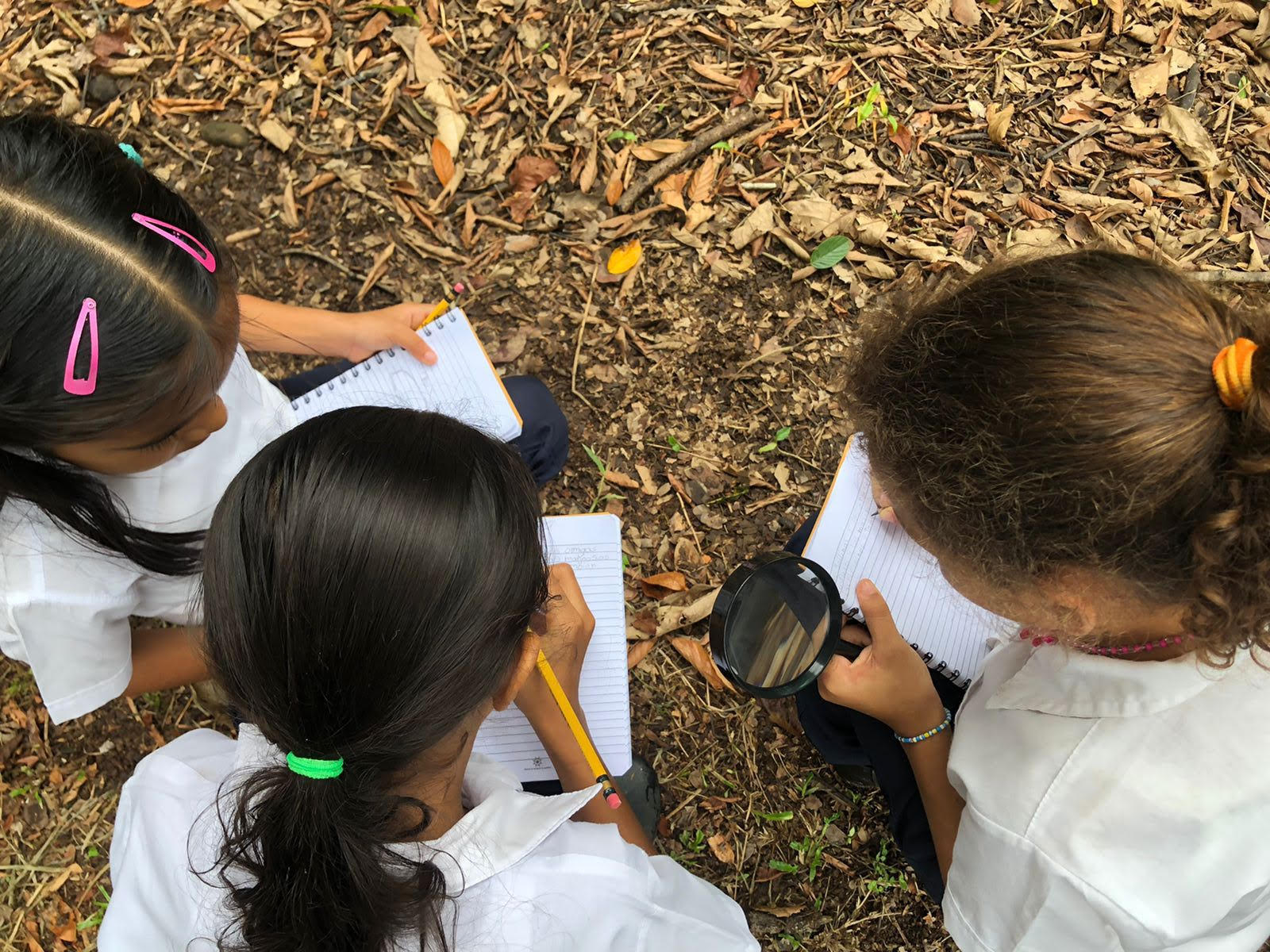 La UCR, mediante el Programa Interdisciplinario de Estudios y Acción Social de Derechos de la Niñez y la Adolescencia, realiza actividades de promoción de derechos entre la población estudiantil.  En la foto aparecen escolares de la Escuela Las Lomas de Camaroncito, en Guácimo, Limón, durante uno de los talleres impartido en junio pasado. Foto cortesía PRIDENA