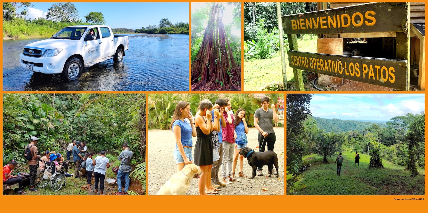 img-noticia-Con el acompañamiento de la UCR las comunidades aledañas al sector de Los Patos, uno de los puntos de entrada al Parque Nacional Corcovado,diseña propuestas turísticas ambiental y culturalmente sostenibles.  Foto cortesía PiOsa.