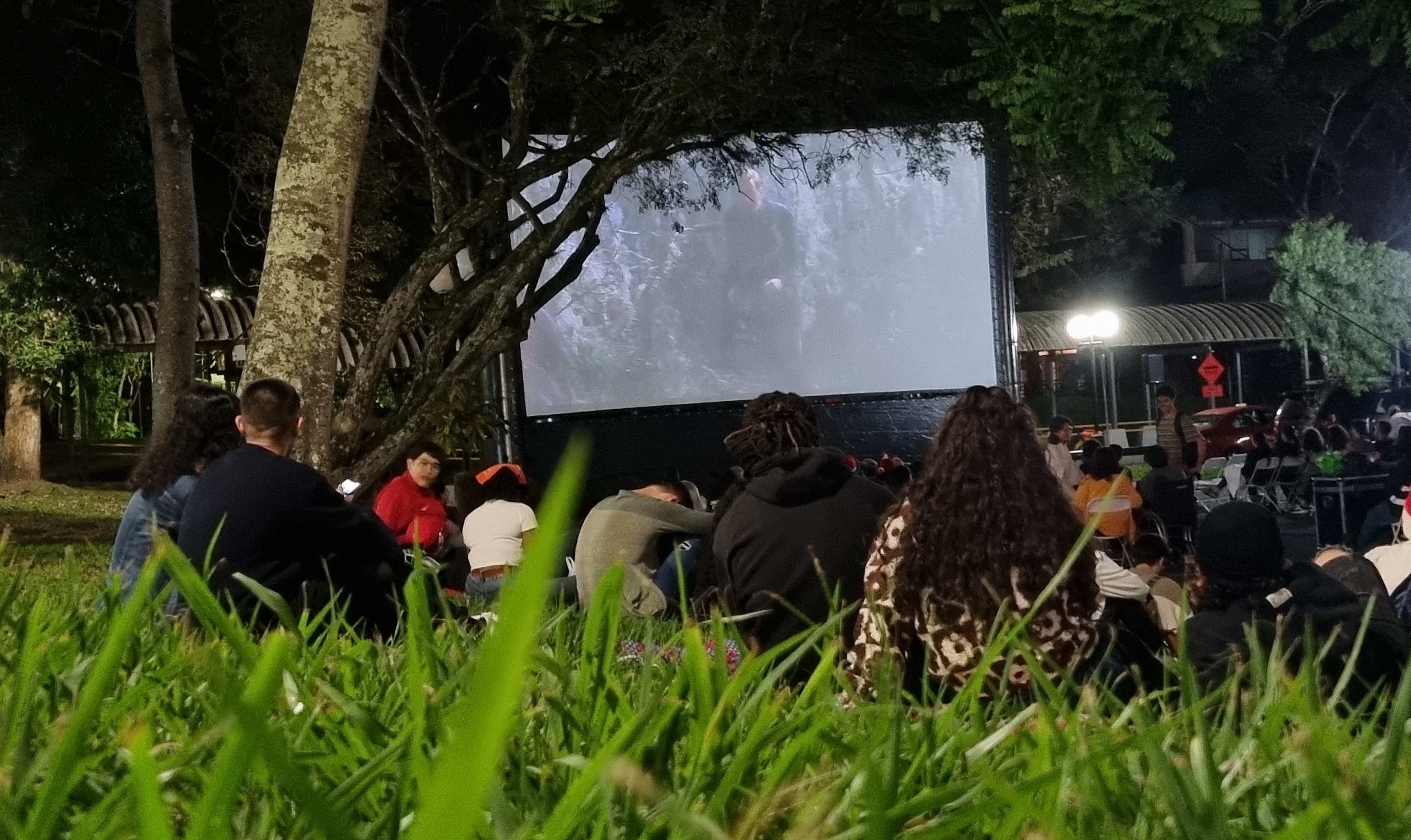 img-noticia-Foto de una de la funciones del cine al aire libre, donde se aprecia a las personas sentadas en el pasto y asientos viendo la película proyectada en una pantalla inflable. 