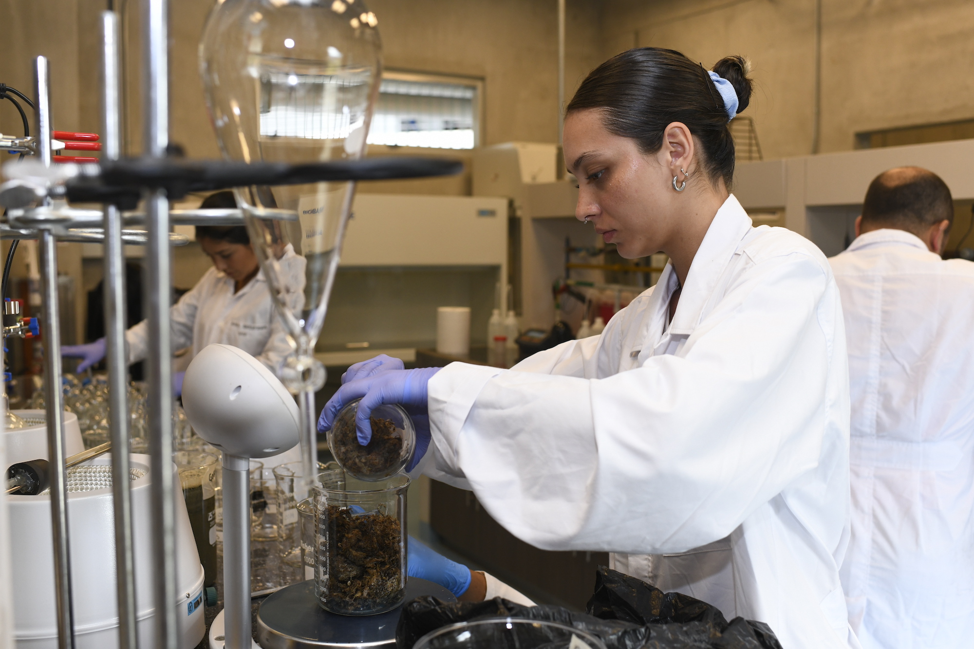 En el laboratorio de la Facultad de Ingeniería se experimenta con modelos a escala con diversos materiales orgánicos, temperaturas y otros factores para recolectar información científica aplicable para la construcción de biodigestores anaeróbicos industriales. En la imagen aparece Sofía Marín Martínez, estudiante en las escuelas de Ingeniería Agrícola y de Biosistemas.   Foto Laura Rodríguez-OCI UCR