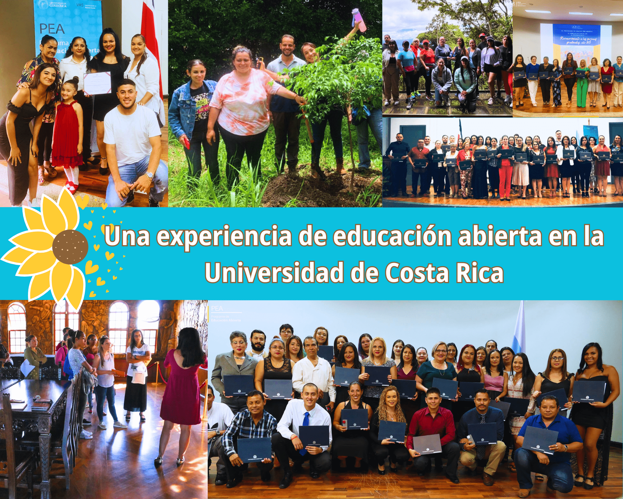 Collage de fotos de actividades del PEA.