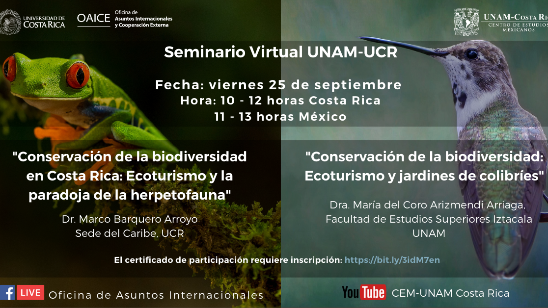 banner seminario 
