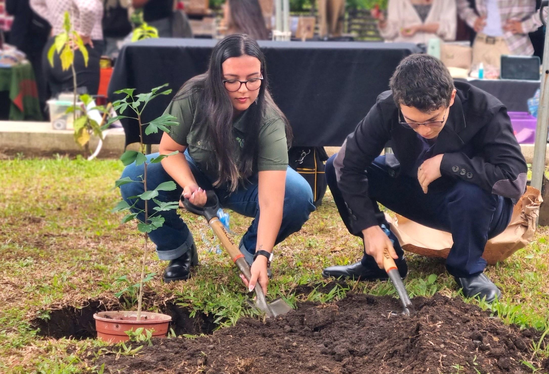 Foto del momento en el que se plantó el árbol de la paz